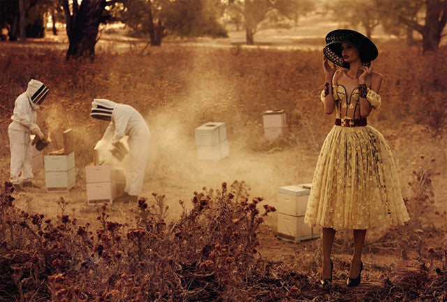 Fashion: I'm a Lady you know?