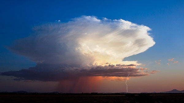 Art: The Thunder, Perfect Mind