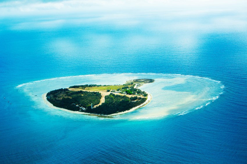 Australian Travel:  Lady Elliot Island and Gary Pepper